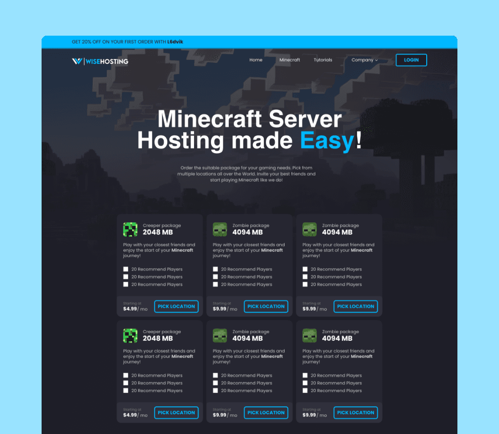 WiseHosting website